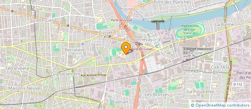 localisation de l'entreprise MADAME JINENE BOUSNINA  VILLEURBANNE