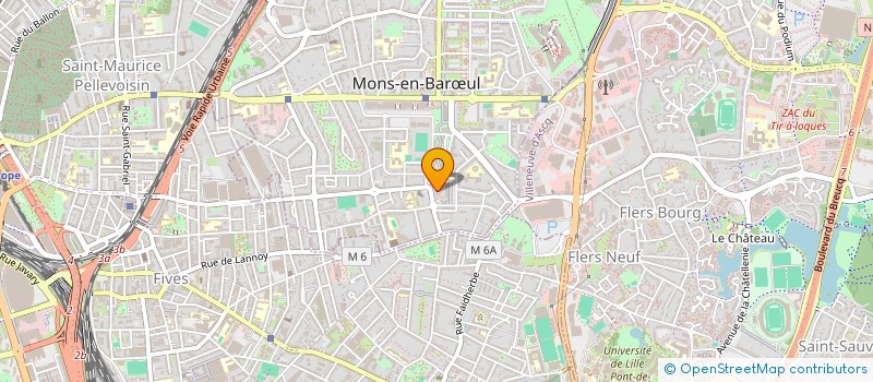 localisation de l'entreprise MADAME JOANA BORGES GONCALVES ROCHA  MONS-EN-BARUL