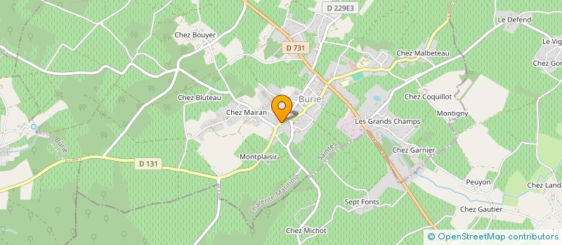 localisation de l'entreprise MADAME JOANA PEREIRA DA SILVA  BURIE