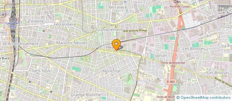 localisation de l'entreprise MADAME JOANE VILLARD  VILLEURBANNE