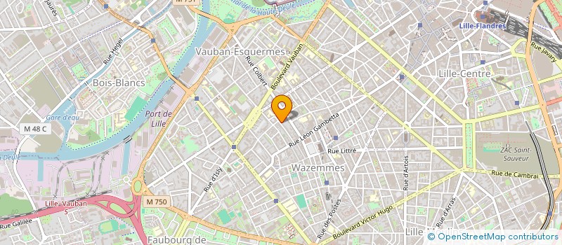 localisation de l'entreprise MADAME JOANNA CATHARINA HULAK  LILLE