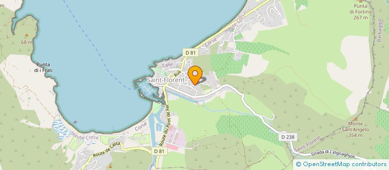 localisation de l'entreprise MADAME JOANNA EMILIE MARIE LABUSSIERE  SAINT-FLORENT