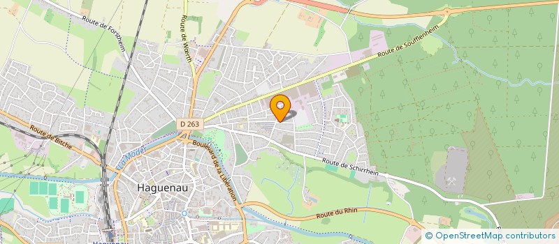 localisation de l'entreprise MADAME JOANNA RODRIGUEZ  HAGUENAU