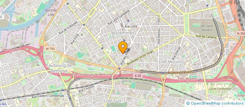 localisation de l'entreprise MADAME JOANNA TIRLOY  LILLE