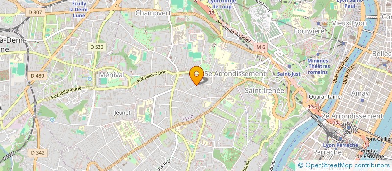 localisation de l'entreprise MADAME JOANNAH FITOUSSI à LYON