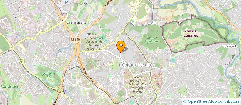 localisation de l'entreprise MADAME JOANNE MUPAVO  MONTPELLIER