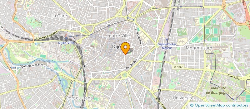 localisation de l'entreprise MADAME JOANNY TISSERAND  DIJON