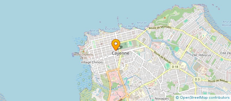 localisation de l'entreprise MADAME JOCELITA BEZERRA DA CUNHA  CAYENNE