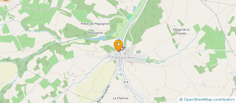 localisation de l'entreprise MADAME JOCELYNE BARBOUX  CHATEAUVIEUX