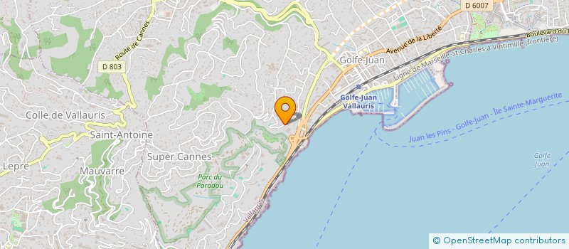 localisation de l'entreprise MADAME JOCELYNE CASTILLON  VALLAURIS