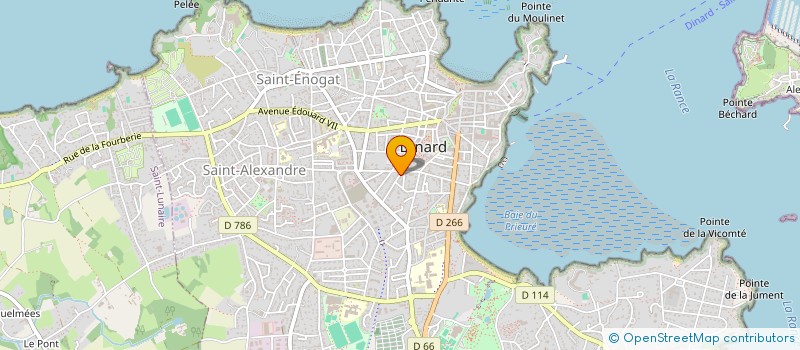 localisation de l'entreprise MADAME JOCELYNE HAMON  DINARD