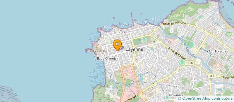 localisation de l'entreprise MADAME JOCELYNE PLANCY  CAYENNE