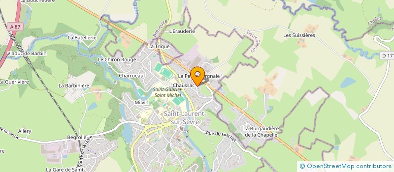 localisation de l'entreprise MADAME JOCELYNE RAPIN à SAINT-LAURENT-SUR-SEVRE