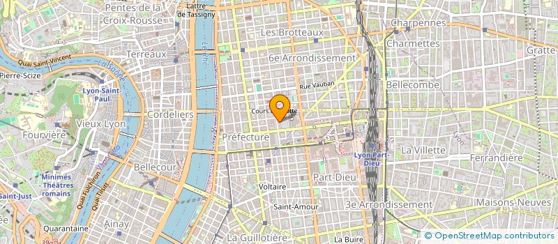 localisation de l'entreprise MADAME JOCELYNE RIVERA  LYON