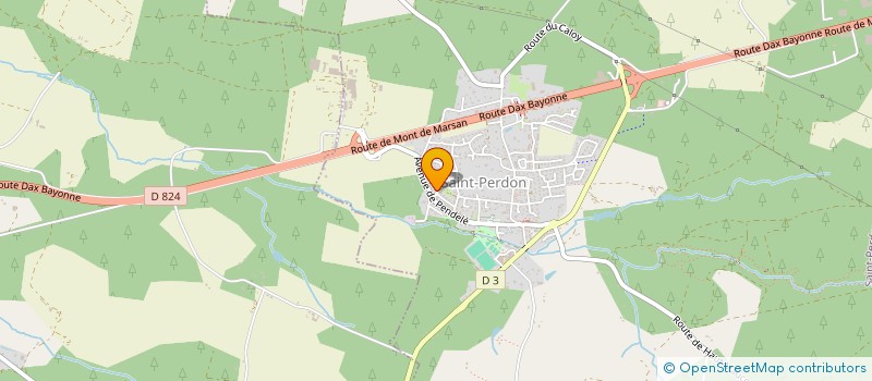 localisation de l'entreprise MADAME JODIE TEMAURIORAA  SAINT-PERDON