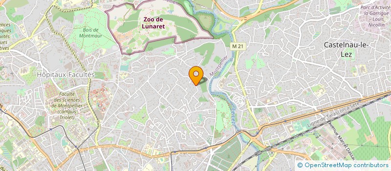 localisation de l'entreprise MADAME JOELLE AZEMA à MONTPELLIER