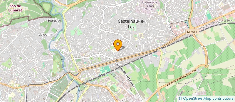 localisation de l'entreprise MADAME JOELLE BENSOUSSAN à CASTELNAU-LE-LEZ