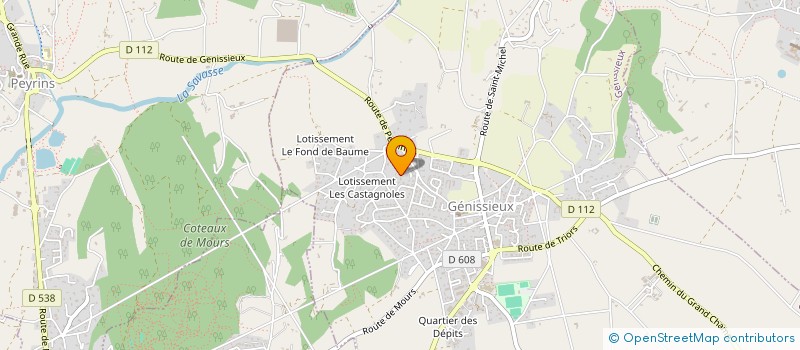 localisation de l'entreprise MADAME JOELLE CHAMBEROD  GENISSIEUX