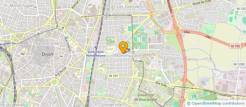 localisation de l'entreprise MADAME JOELLE CHAMPALLE à DIJON