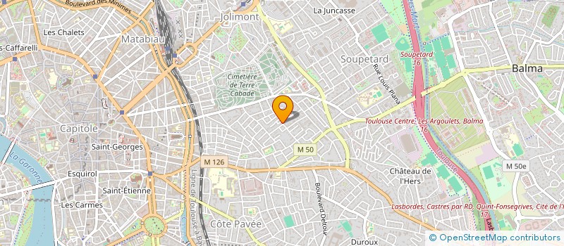 localisation de l'entreprise MADAME JOELLE CHARLES  TOULOUSE