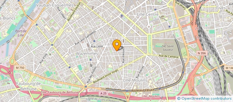 localisation de l'entreprise MADAME JOELLE DEBARGE à LILLE