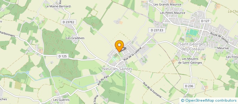 localisation de l'entreprise MADAME JOELLE FONTAINE  NIEUL-LES-SAINTES