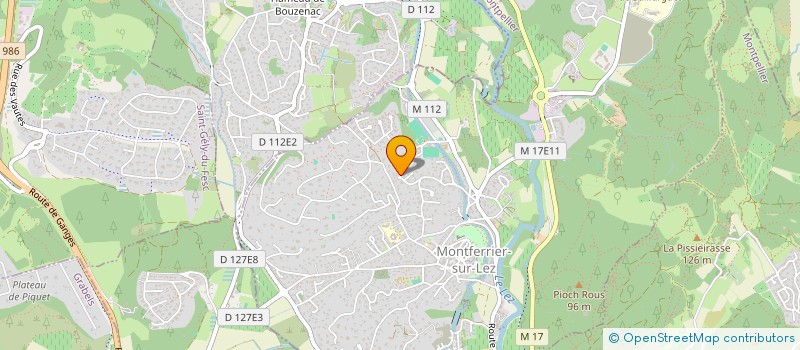 localisation de l'entreprise MADAME JOELLE FOURCADE  MONTFERRIER-SUR-LEZ