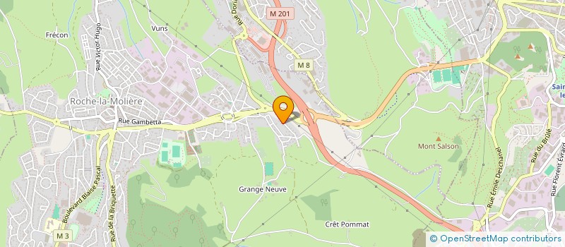 localisation de l'entreprise MADAME JOELLE JOURJON  ROCHE-LA-MOLIERE