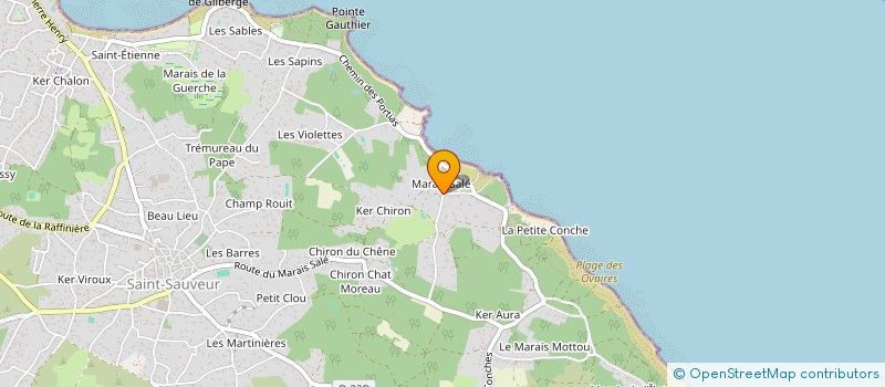 localisation de l'entreprise MADAME JOELLE MAHE  L'ILE-D'YEU