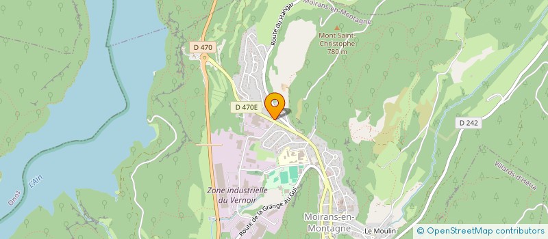 localisation de l'entreprise MADAME JOELLE MANTELET  MOIRANS-EN-MONTAGNE