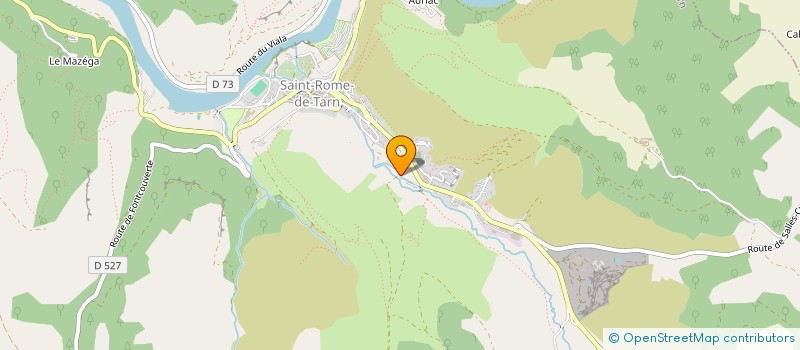 localisation de l'entreprise MADAME JOELLE MARIE  SAINT-ROME-DE-TARN