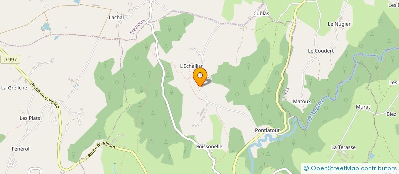 localisation de l'entreprise MADAME JOELLE PELISSON  SAINT DIER D'AUVERGNE