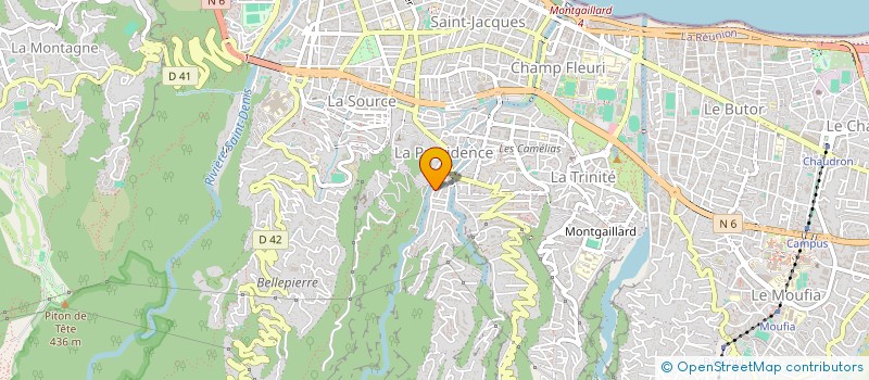 localisation de l'entreprise MADAME JOELLE PINAUD à SAINT-DENIS