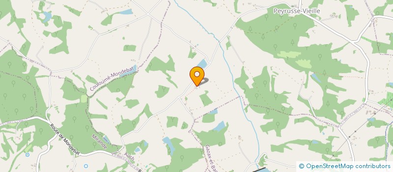 localisation de l'entreprise MADAME JOELLE PIZZATO  PEYRUSSE-VIEILLE