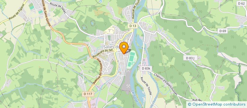 localisation de l'entreprise MADAME JOELLE POLGE  SALIES-DU-SALAT
