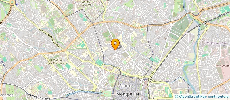 localisation de l'entreprise MADAME JOELLE SALAMERO à MONTPELLIER