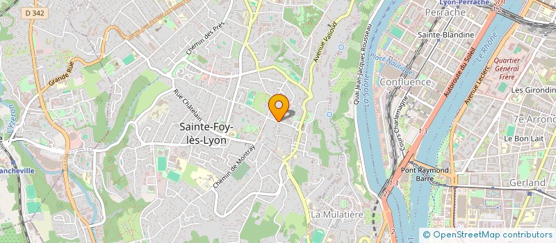 localisation de l'entreprise MADAME JOELLE THEOLEYRE  SAINTE-FOY-LES-LYON