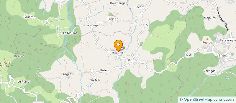 localisation de l'entreprise MADAME JOELLE THOUVENIN à BRASSAC