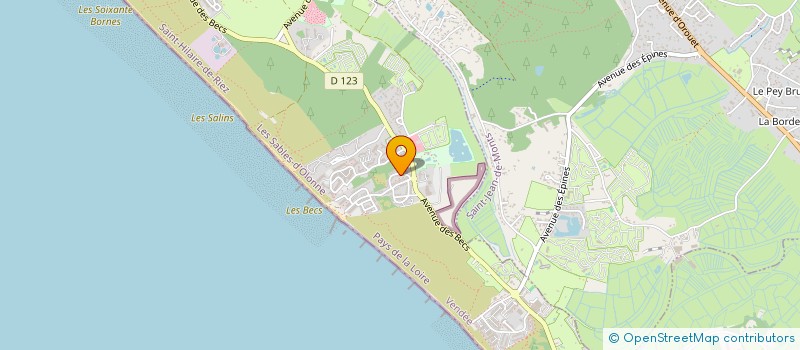 localisation de l'entreprise MADAME JOELLE VRIGNAUD  SAINT-HILAIRE-DE-RIEZ