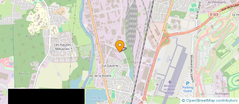 localisation de l'entreprise MADAME JOHANA DUAULT  LE MANS