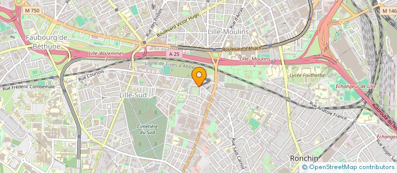 localisation de l'entreprise MADAME JOHANA KIKITA à LILLE