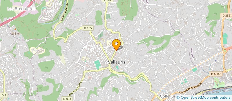 localisation de l'entreprise MADAME JOHANA LASSOURIS à VALLAURIS