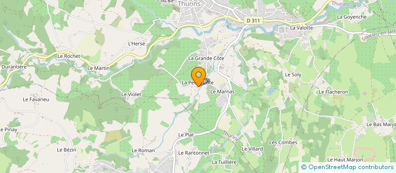 localisation de l'entreprise MADAME JOHANA SANABRIA  THURINS