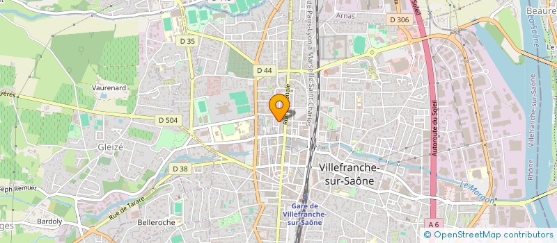 localisation de l'entreprise MADAME JOHANNA DECHAVANNE  VILLEFRANCHE-SUR-SAONE