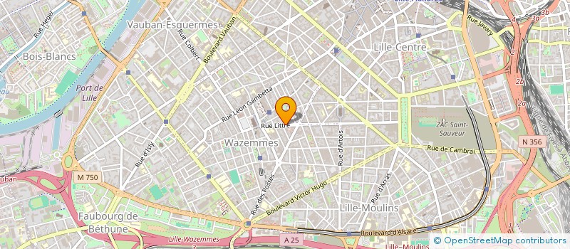 localisation de l'entreprise MADAME JOHANNA LARUE à LILLE
