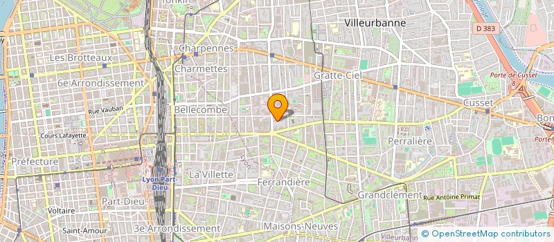 localisation de l'entreprise MADAME JOHANNA SALLEYRON  VILLEURBANNE