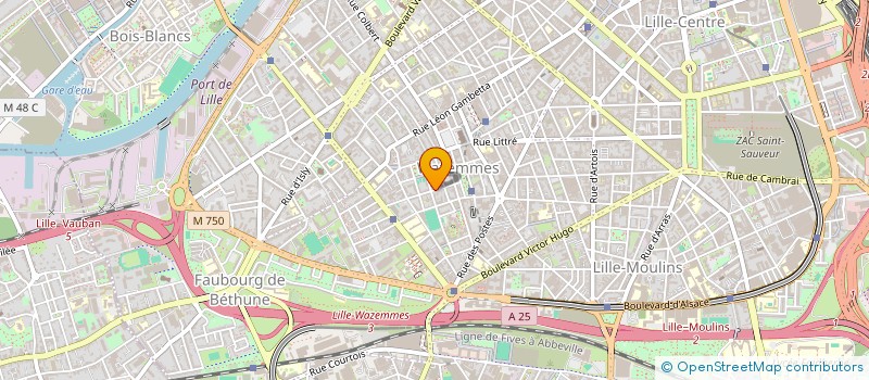 localisation de l'entreprise MADAME JOHANNA WALKOWIAK à LILLE