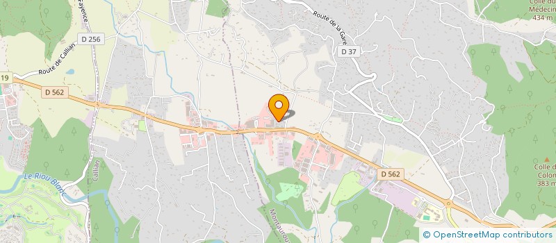 localisation de l'entreprise MADAME JOHANNE GIULIANI  MONTAUROUX