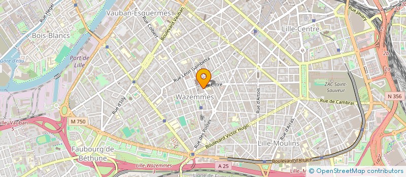 localisation de l'entreprise MADAME JOHANNE HUYSMAN à LILLE