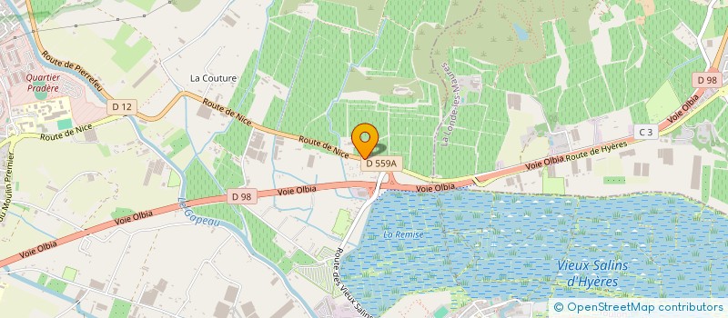 localisation de l'entreprise MADAME JOHANNE MARGERIS  HYERES